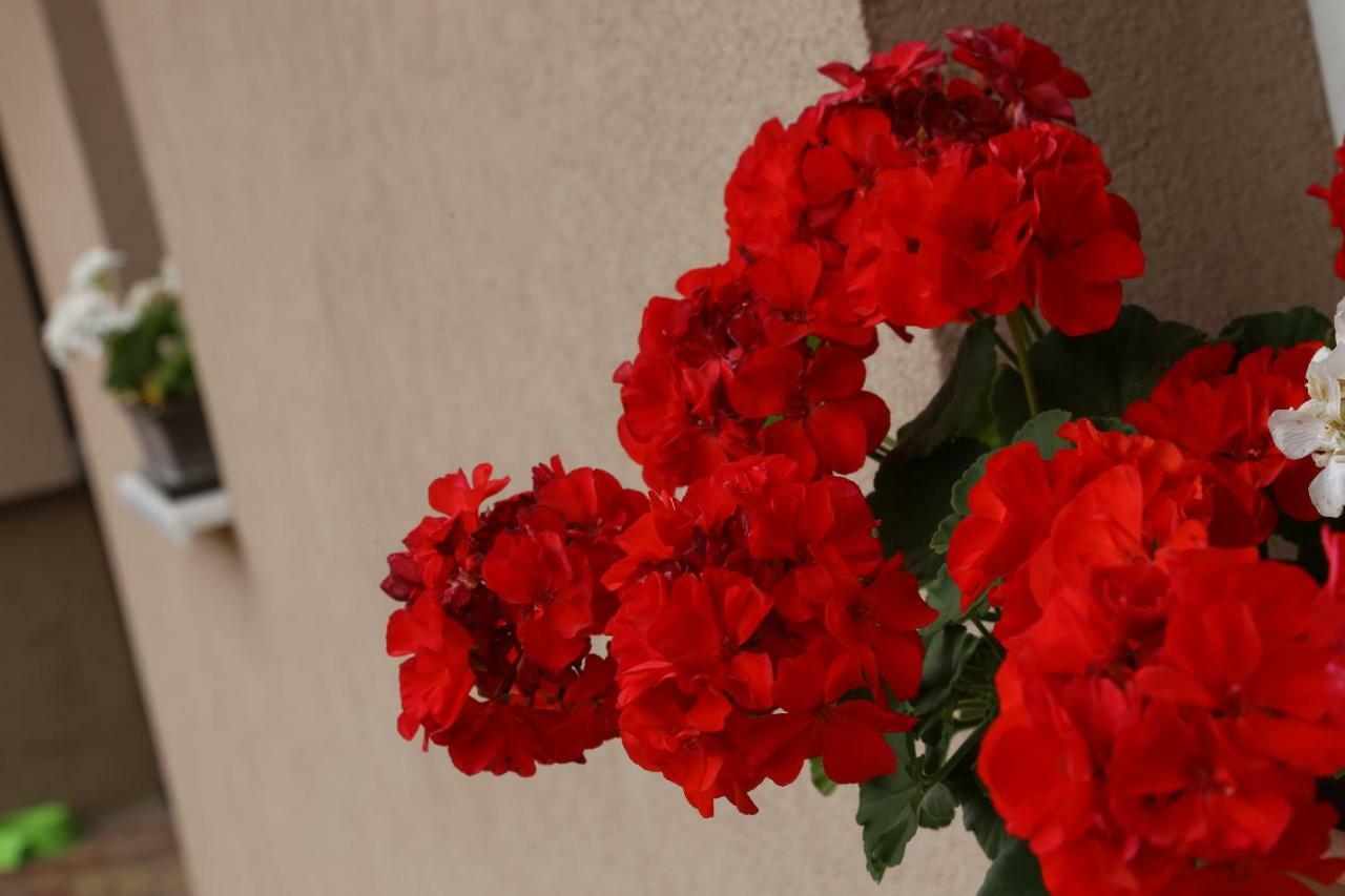 Silentium Garden Apartman Sárvár Εξωτερικό φωτογραφία